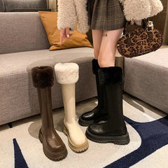 Lunivop Winter Knee High Brown Long Boots Comfort Square Heel Slip on Platform Boots for Women Plush Thick Heel Warm Gothic Shoes
