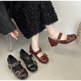 Lunivop Spring Retro Designer Women Mary Jane Shoes New Round Toe Shallow Chunky Heel Shoes Metal Buckle Non-slip Block Heel Pumps