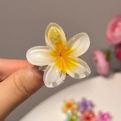 Lunivop 6Pcs Gradient Hair Clips New Flower Hair Claws Small Size Fashion Headwear Hairpin Crab Barrette Hair Accessories for Women