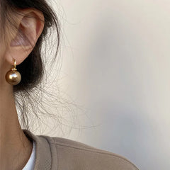 Lunivop Silver Needle Simple and Elegant Round Beads Tiger Eye Stone Earrings Gathering Jewelry Accessories