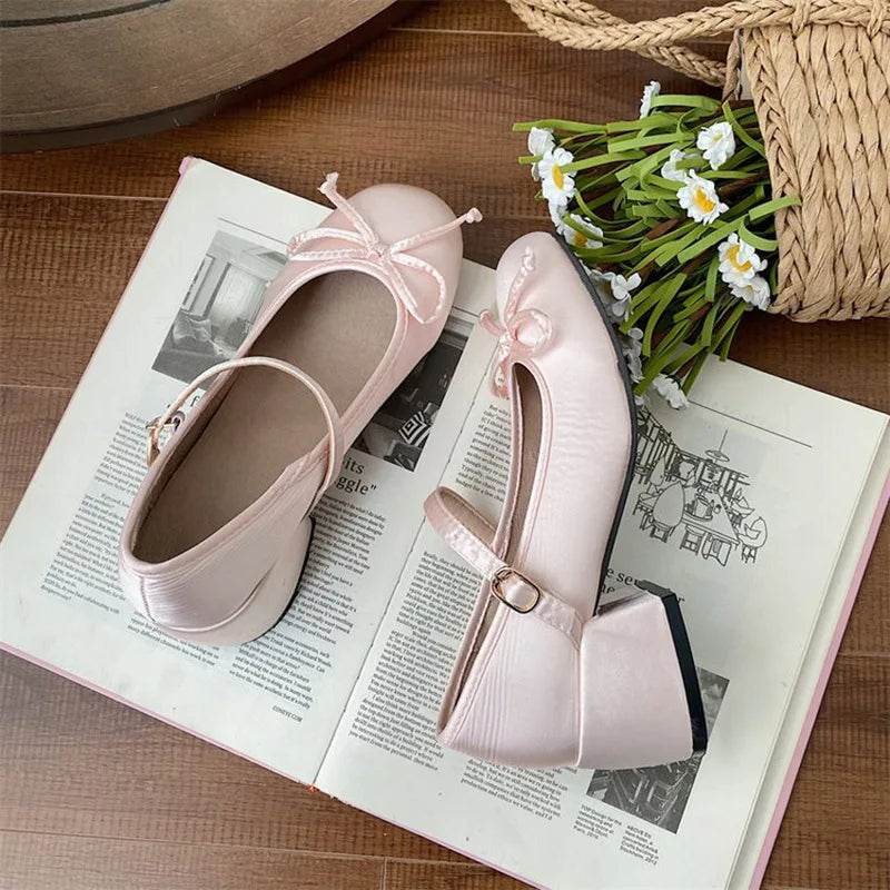Lunivop  Simple and Gentle Fragrant Retro French Thick Heel Mary Jane Shoes Women's Autumn and Winter Versatile Single Shoes