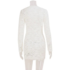 Lunivop  See Through Lace Hollow Out Bodycon Mini Dress Women Sexy Deep V Neck Long Sleeve Hipster Night Clubwear Birthday Party Outfits