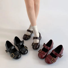 Lunivop  Spring Retro Designer Women Mary Jane Shoes New Round Toe Shallow Chunky Heel Shoes Metal Buckle Non-slip Block Heel Pumps