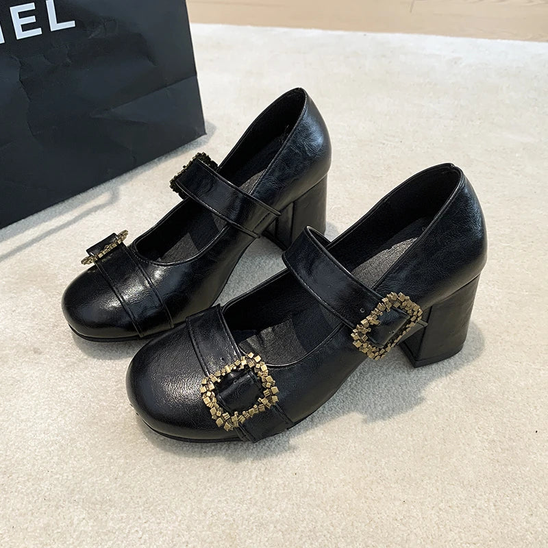 Lunivop  New Spring Thick Heel Women Mary Jane Shoes Fashion Metal Buckle Strap Shoes Ladies Vintage Dress Leather Pumps