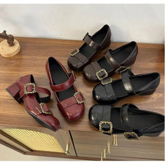 Lunivop  Spring Retro Designer Women Mary Jane Shoes New Round Toe Shallow Chunky Heel Shoes Metal Buckle Non-slip Block Heel Pumps